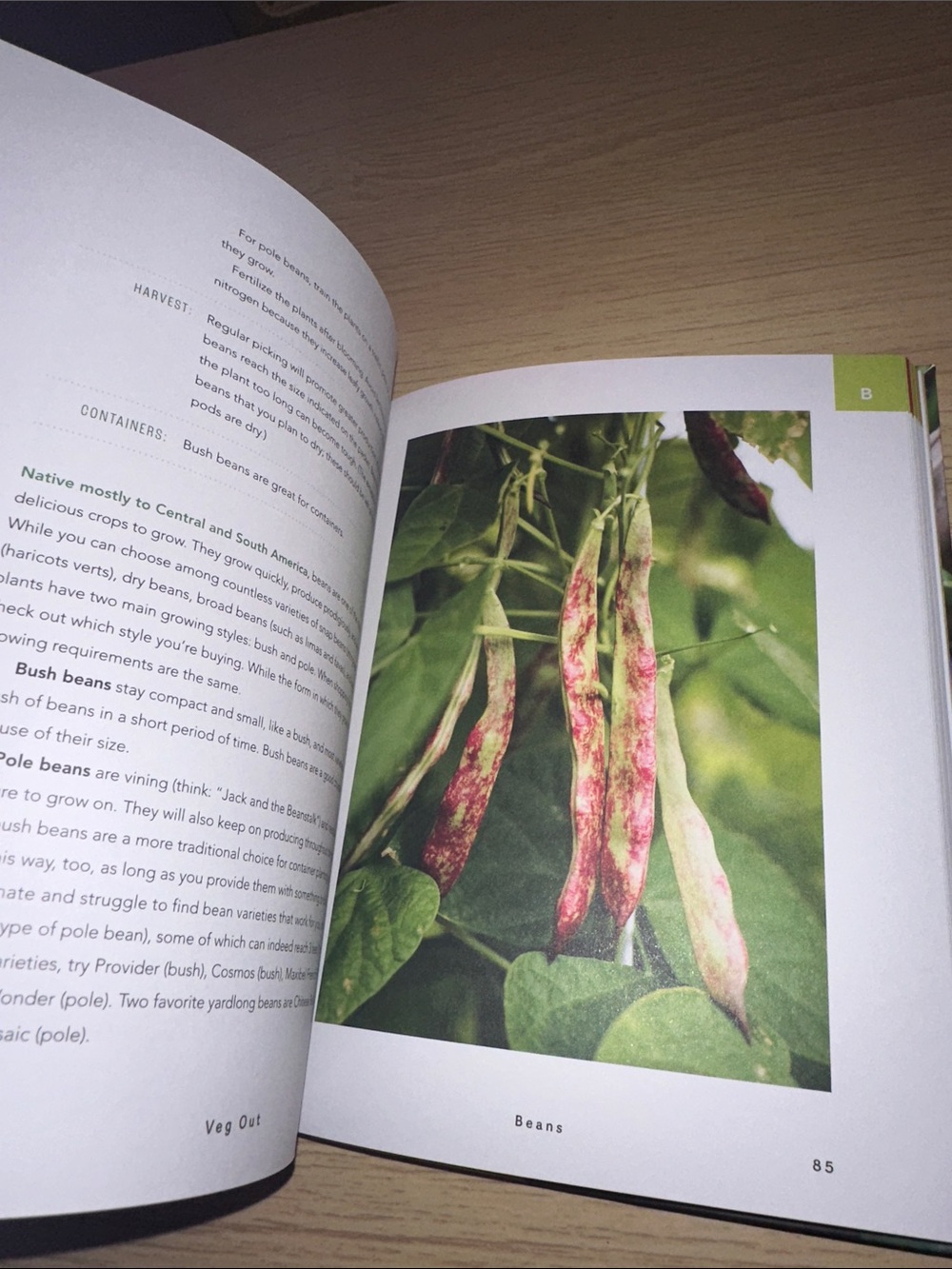 Veg Out! - Colorful Gardening Guide (Pink) - Picture 3 of 6